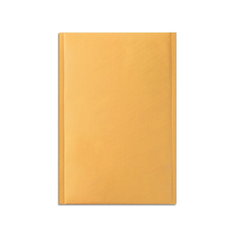 13.13" x 17.75" Self-Sealing Bubble Mailer, #6, 25/Carton (ST56651B) image 1