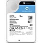 Seagate SkyHawk AI 20TB 3.5" SATA Internal Hard Drive (ST20000VE002)~#|#~84E97BB4-1A73-434F-AC1A802FF54EEFAA_sc7