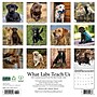 2026 Willow Creek What Labs Teach Us 12" x 12" Monthly Wall Calendar (53218)~#|#~84ED0BBF-B8AB-4E47-86ACD8CD8B878EBF_sc7