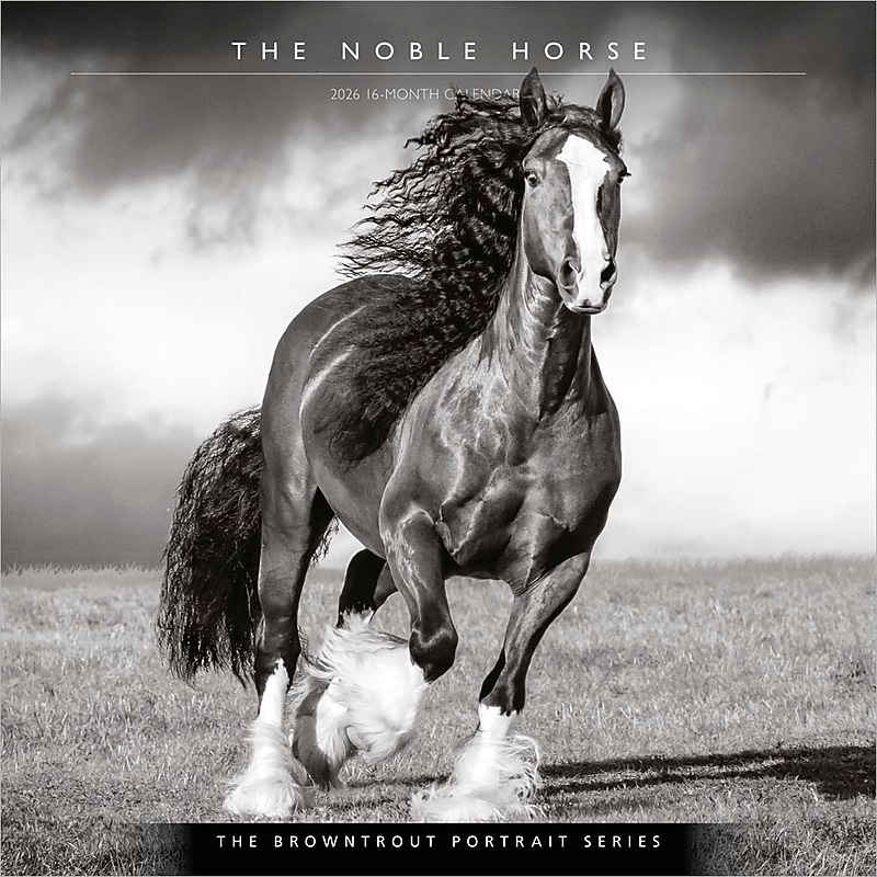 2026 BrownTrout The BrownTrout Portrait Series: The Noble Horse 12" x 12" Monthly Wall Calendar (9798330703753) image 1