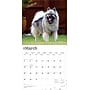 2026 BrownTrout Keeshonden 12" x 12" Monthly Wall Calendar (9798330704033)~#|#~8529BF97-5B42-44D0-8327C0A1FCF73889_sc7