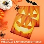 Say Hooray! Perfectly Pumpkin Paper Plates and Napkins Kit, Multicolored, 48/Pack (DTC9382E2G)~#|#~8535EC9F-56B4-4710-8B7D2FF46809AA10_sc7