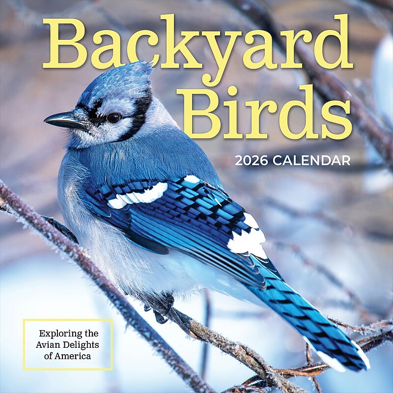 2026 TF Publishing Backyard Birds 12" x 12" Monthly Wall Calendar, Multi (26-1033) image 1