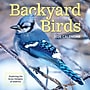 2026 TF Publishing Backyard Birds 12" x 12" Monthly Wall Calendar, Multi (26-1033)~#|#~85367A28-9DC0-4368-97CAE03D47896580_sc7