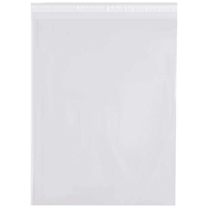 12" x 15" Reclosable Poly Bags, 4 Mil, Clear, 500/Pack (PRR121504) image 1