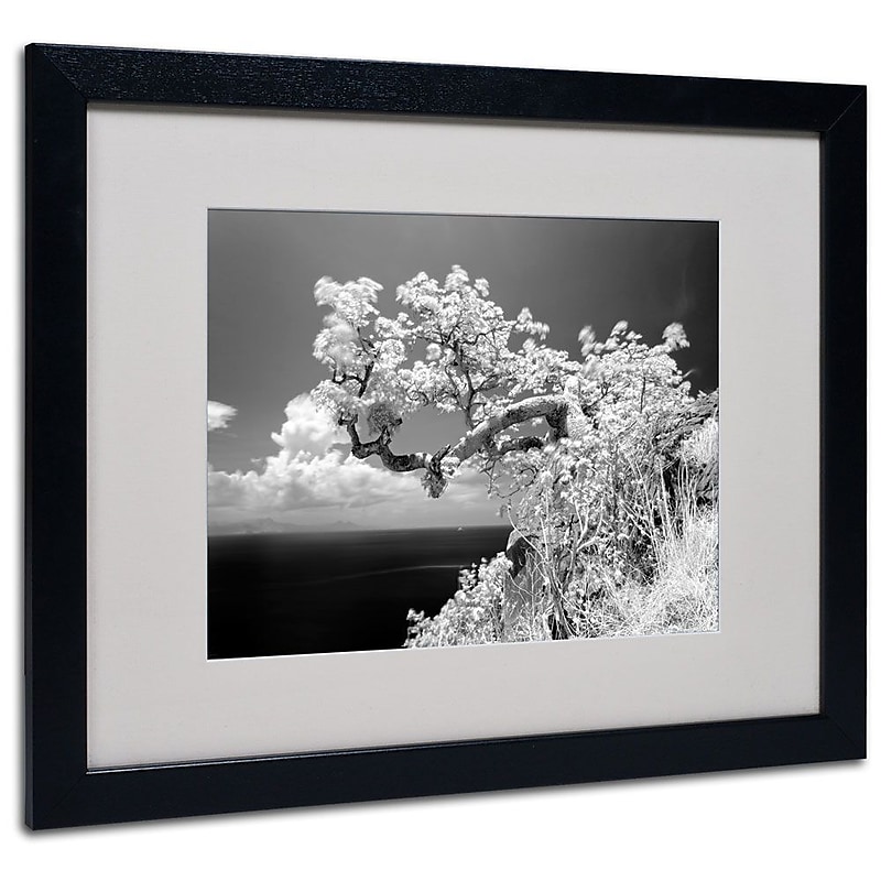 Trademark Fine Art 'Intimate' 16" x 20" Black Frame Art image 1
