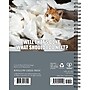 2026 Willow Creek Cat-astrophe 6.5" x 8.5" Daily & Monthly Personal Organizer (54598)~#|#~8554F647-6AE6-420C-B2ED5D0E95A2526E_sc7
