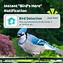 Birdfy Feeder 2 with Camera, Solar Panel and AI by Subscription, Green (EPPAMBNI8602100)~#|#~855DFF43-03BF-4255-BB0A4B1C10DD9653_sc7