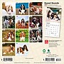 2027 BrownTrout Basset Hounds 7" x 7" Monthly Wall Calendar, Assorted Colors (9798330714094)~#|#~856057A4-794B-4E30-851C2E24D7BBBA1B_sc7