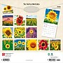 2026 BrownTrout Sunflowers 12" x 12" Monthly Wall Calendar (9798330705696)~#|#~856999D4-B601-498F-9A1ED2CB05B5D192_sc7