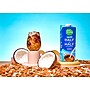Nutpods Half & Half Dairy Free Liquid Creamer, 32 oz. (5000393093)~#|#~85773C1B-EC5A-4D32-858078307035084E_sc7