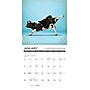 2026 Willow Creek Cow Yoga 7" x 7" Monthly Wall Calendar (53522)~#|#~858765F5-4966-482A-AF89DC607D4E3458_sc7