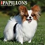 2027 Willow Creek Papillons 12" x 12" Monthly Wall Calendar, Assorted Colors (61718)~#|#~85B03331-8868-44A5-A35F54452FC36245_sc7