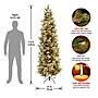 National Tree Company Carolina Pine Artificial Christmas Tree (CAP3-330-75)~#|#~85B522E3-B251-49C3-98DF93420EF30BC8_sc7