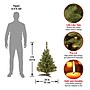 National Tree Company Kincaid Spruce Artificial Christmas Tree (KCDR-30LO-1)~#|#~85C27728-F876-4544-BFD6499B6B3D344C_sc7
