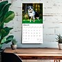 2026 BrownTrout Australian Shepherds 12" x 12" Monthly Wall Calendar (9798330702220)~#|#~85CE189E-501C-4E19-B38C30DB3BC753CE_sc7