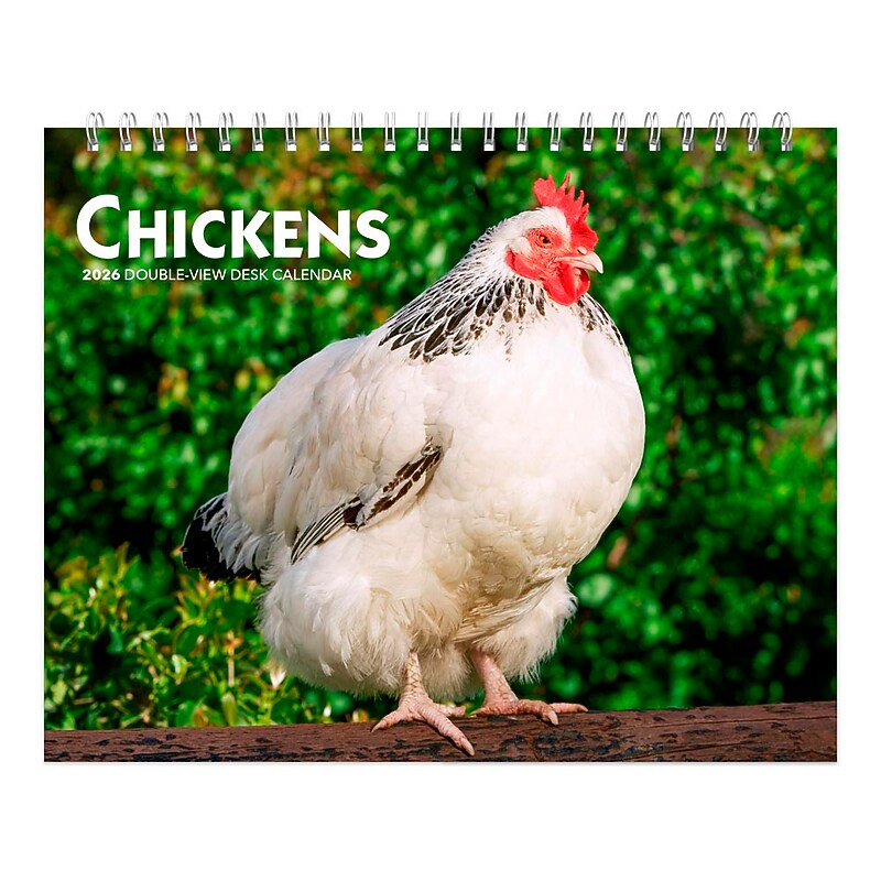 2026 BrownTrout Chickens 7.5" x 6" Monthly Desk Calendar (9798330702862) image 1