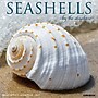 2027 Willow Creek Seashells 12" x 12" Monthly Wall Calendar, Assorted Colors (62234)~#|#~8631CA08-B48A-4FED-8F1D836D5991B3E2_sc7