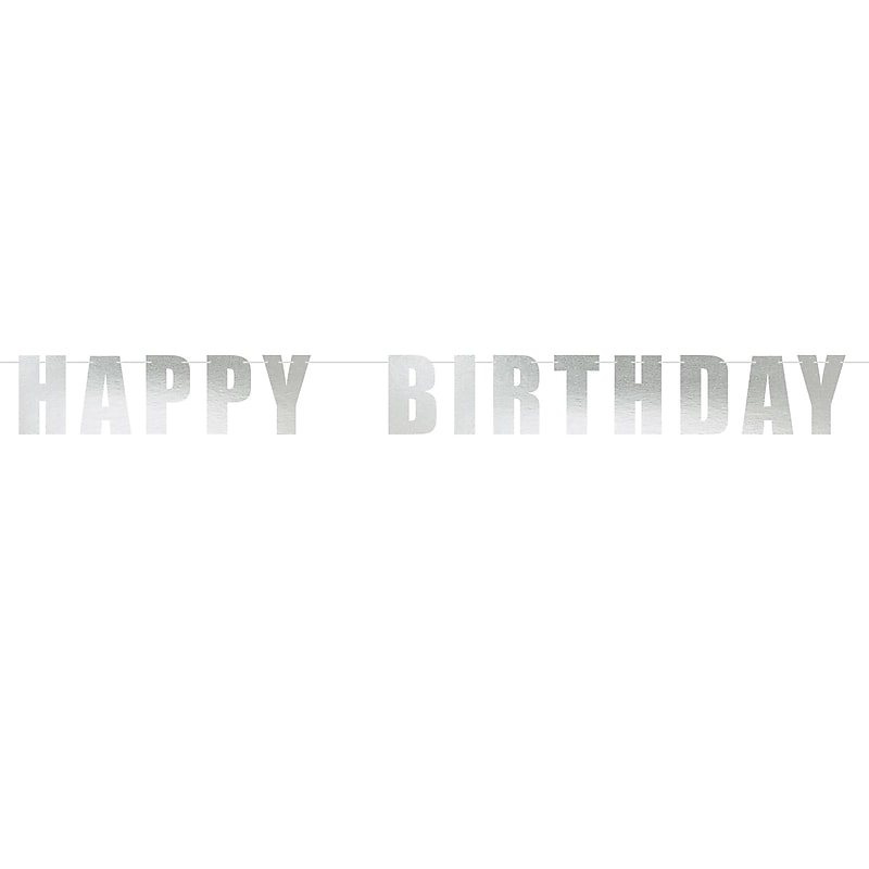 Party City Happy Birthday Letter Banner, Silver (AM121073) image 1