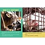 Farm Animal Sanctuaries Picture Book, Hardcover~#|#~8639EF47-FDD6-4A00-9E047760E28EAF22_sc7