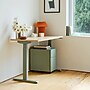 Branch Duo 48"W Electric Adjustable Standing Desk, Woodgrain/Sage (10-10-05-68)~#|#~863C08CD-83AC-403C-B25E4DDAB30BD3D2_sc7