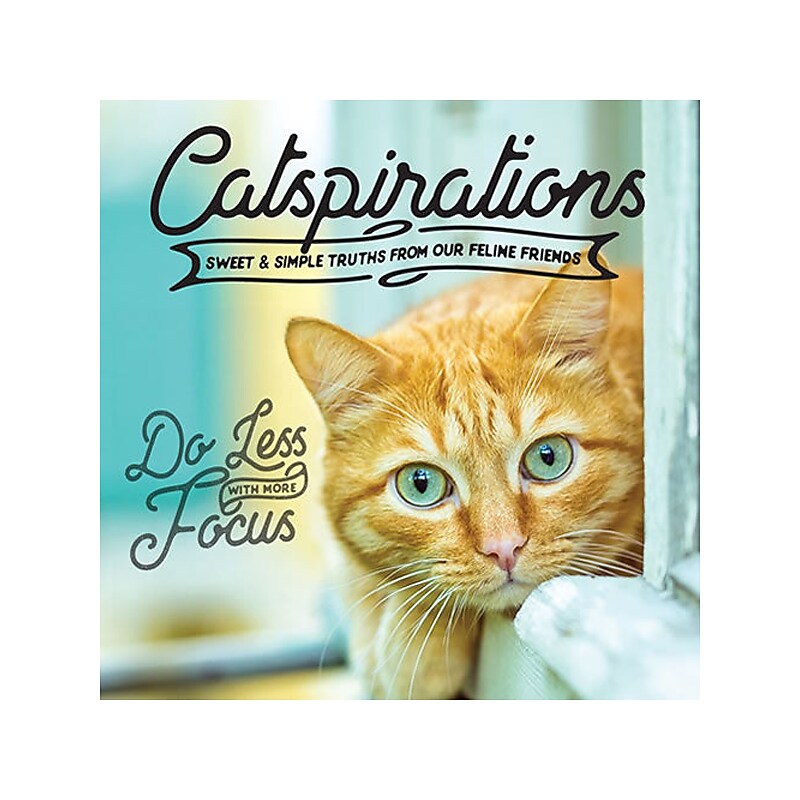 Catspirations, Hardcover image 1