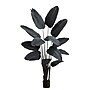 Nearly Natural Artificial Halloween Black Travelers Palm Tree, 6' (T5229)~#|#~865E84D9-6039-4161-9983CA55D1090540_sc7