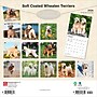2026 BrownTrout Soft Coated Wheaten Terriers 12" x 12" Monthly Wall Calendar (9798330706310)~#|#~866E88BF-43D6-45CC-AD94DA3FFF7600DC_sc7