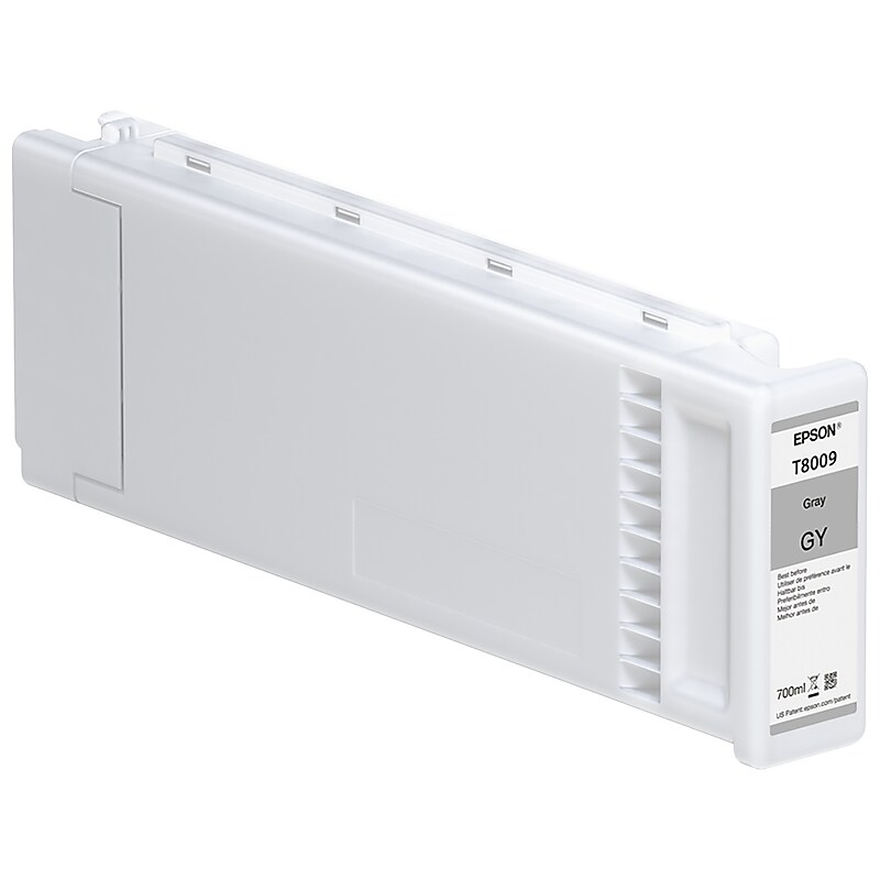 Epson T8009 Gray Standard Yield Ink Cartridge (T800900) image 1