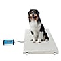 Viva Comfort Veterinary Weight Scale, White, 660 lbs. Capacity (ADI904-04-MK)~#|#~867F0E72-351A-4373-85B61BA70644DB95_sc7