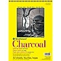 Strathmore 300 Series 9" x 12" Wire Bound Charcoal Sketch Pad, 32 Sheets/Pad, 3/Bundle (STTP33091-3)~#|#~86932BEE-CADA-4D56-90388FAC4D85BEB8_sc7