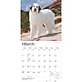 2027 BrownTrout Great Pyrenees 12" x 12" Monthly Wall Calendar (9798330712496)~#|#~86B046D7-3F08-4532-9EB8372EC2A55BD3_sc7