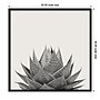 Amanti Art Haze Aloe Succulent by The Creative Bunch Studio Wood Framed Wall Art Print, 33" x 33" (A42675345777)~#|#~870693E3-284D-4331-8CEF7912B8949F6F_sc7