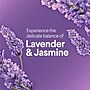 Clorox Scentiva Disinfecting Wipes, Lavender and Jasmine Scent, 75 Wipes/Container (60040)~#|#~870ABED4-B3CB-4BBC-8DD42CBED414CD9A_sc7