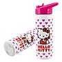 Hello Kitty Stainless Steel Double Wall Insulated Flip Straw Water Bottle, 20 oz. (C6B139SL)~#|#~87342D7D-D435-47B7-B4DC0DA1D5F652D5_sc7