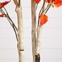 Nearly Natural 8' Autumn Birch Artificial Fall Tree (T4805)~#|#~87375604-C69A-422C-9E79C6FABA4F17C7_sc7