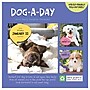 2027 TF Publishing Dog A Day 5.25" x 5.25" Daily Day-to-Day Calendar, Multicolored (27-3008)~#|#~873A945E-A467-46A0-BA9864FA5459754F_sc7