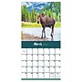 2027 TF Publishing Wild 11" x 12" Monthly Wall Calendar, Multicolored (27-1032)~#|#~874605B7-9A8E-4D4D-BC0C951598D86396_sc7