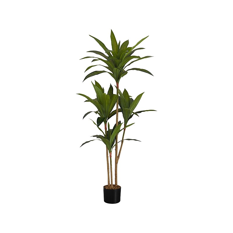 Monarch Specialties Inc. Dracaena in Pot (I 9543) image 1