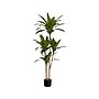 Monarch Specialties Inc. Dracaena in Pot (I 9543)~#|#~8754D3DE-13A6-4513-BE9981FC69133459_sc7