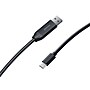 Insta360 Connect 33 ft. USB-A to USB-C Cable, Male to Male, Black (CINSBABL)~#|#~875679F0-401D-47C1-B56E0BF0059DDA76_sc7