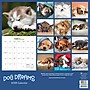 2026 TF Publishing Dog Dreams 12" x 12" Monthly Wall Calendar (26-1010)~#|#~875FC2BE-FFBD-42EE-942D8EAF177BA558_sc7