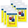 Strathmore 300 Series Artist Trading Cards Bristol Pack, 2.5" x 3.5", 20 Sheets/Pack, 6 Packs/Bundle (STTP105902-6)~#|#~876323CB-79DC-4860-9196CE2857BCC8C0_sc7