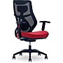 Beautyrest Duo-EX Ergonomic Mesh Swivel Computer Chair, Red (60051-RED)~#|#~87692D0D-51CB-4BE6-BCC6B733FD75A984_sc7
