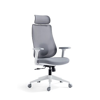 La-Z-Boy Mesh Back Molded Foam Computer and Desk Chair, Gray