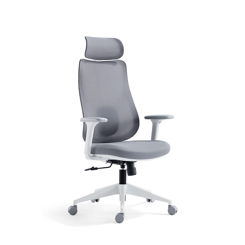 Raynor Group Torque Ergonomic Fabric/Mesh Swivel Manager Chair, Grey/White (TORQUE-WF-GRY ) image 1