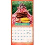 2026 BrownTrout Avanti Dogs Gone Wild 7" x 7" Monthly Wall Calendar (9798330701438)~#|#~87789BA0-3B71-42F1-9D65D2FA902F2EA1_sc7