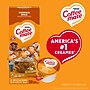 Coffee mate Creamer Pumpkin Spice Liquid Creamer, 18.7 oz. (NES75520)~#|#~87839477-C192-414F-8C7791F3E1EE49CB_sc7