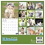 2027 TF Publishing Kittens 7" x 7" Monthly Wall Calendar, Multicolored (27-2002)~#|#~8791B0C1-AA76-4701-89B1C0B81AB4CC39_sc7