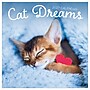 2027 TF Publishing Cat Dreams 12" x 12" Monthly Wall Calendar (27-1003)~#|#~87A2E2A9-7A1E-4B9C-A21CA57CC8146FE1_sc7